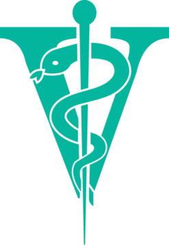 Joyzze Hornet Mini Trimmer 2 Speed [Purple] -FURMINATO Pet Care Shop JY 99028 8